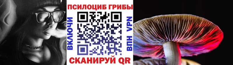 где купить   Гусиноозёрск  Псилоцибиновые грибы мухоморы 